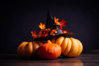 bir ev dekorasyon için halloween, turuncu kabak, büyük kara cadı şapkası için bir kompozisyon