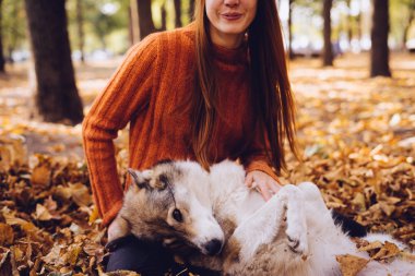 şık bir turuncu kazaklı genç güzel kızıl saçlı kız köpeğini düşen sonbahar yaprakları etrafında park ile yürüyor