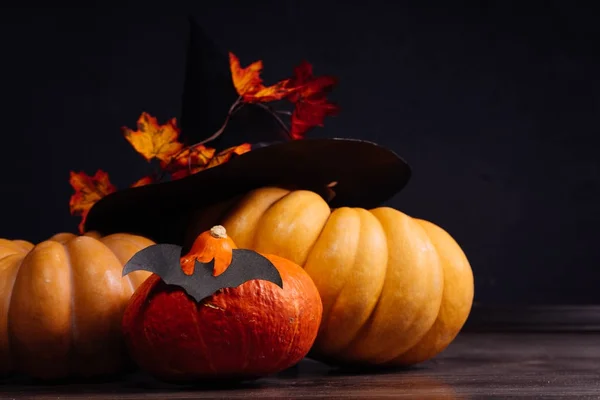 Een compositie voor het versieren van een huis voor halloween, oranje en gele pompoenen, een grote zwarte heks hoed liggen — Stockfoto