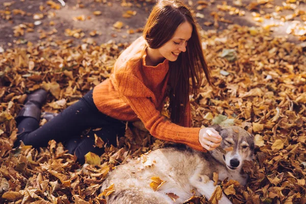 Junge schöne rothaarige Mädchen in einem modischen orangefarbenen Pullover geht mit ihrem Hund im Park spazieren, um die gefallenen Herbstblätter — Stockfoto