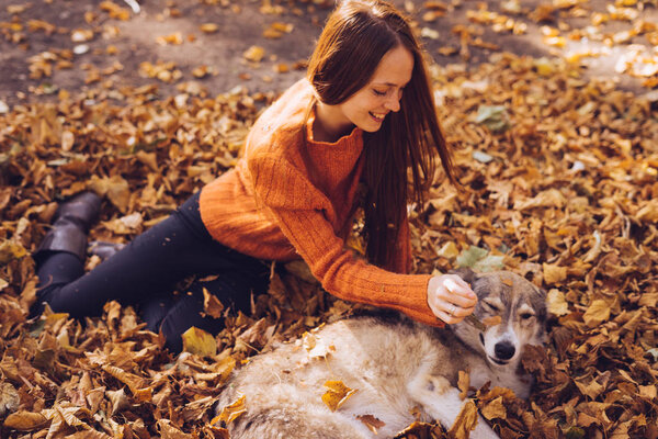 young beautiful red-haired girl in a fashionable orange sweater is walking with her dog in the park, around the fallen autumn leaves