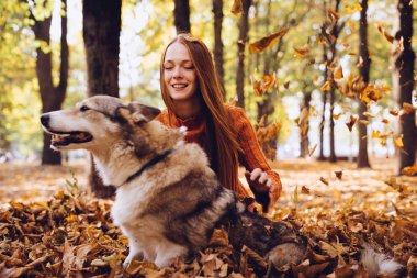 şık bir turuncu kazaklı genç güzel kızıl saçlı kız köpeğini düşen sonbahar yaprakları etrafında park ile yürüyor