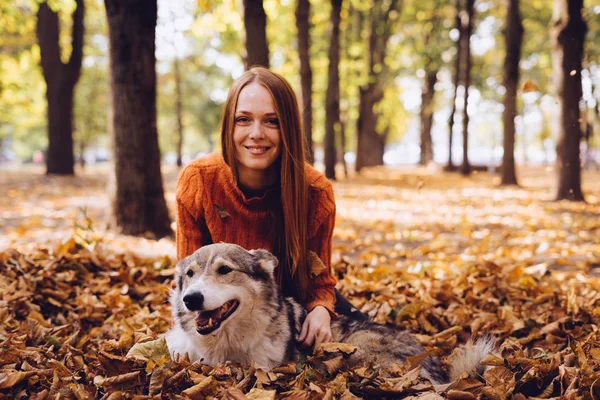 Jonge mooie roodharige meisje in een modieuze oranje trui loopt met haar hond in het park, rond de gevallen Herfstbladeren — Stockfoto