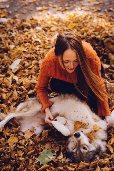 A menina se encontra na folhagem de outono com seu cão — Fotografia de Stock