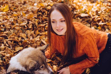 şık bir turuncu kazaklı genç güzel kızıl saçlı kız köpeğini düşen sonbahar yaprakları etrafında park ile yürüyor