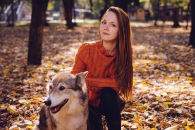 Büyük gri köpeğini düşen sonbahar yaprakları ile uzun kızıl saçlı güzel bir kızla oturur