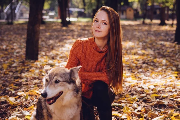 Uma menina bonita com longos cabelos vermelhos senta-se com seu grande cão cinza em folhas de outono caídas — Fotografia de Stock