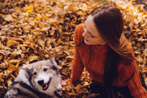 Schöne rothaarige Mädchen spielt mit ihrem großen Hund in fallenden Herbstblättern — Stockfoto
