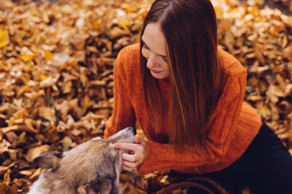 Härlig rödhårig tjej smeka hennes stora hund, sitter i fallna höstlöv — Stockfoto
