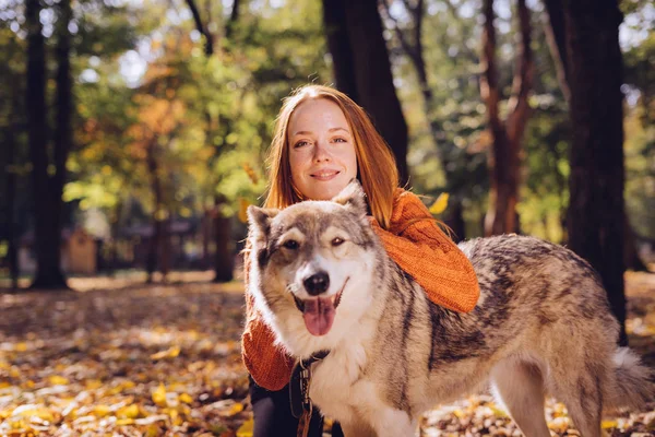 Vackra leende flicka i en orange tröja poserar med sin hund i en park på hösten — Stockfoto