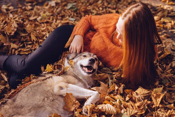Rödhårig flicka i en orange tröja ligger i nedfallna löv tillsammans med sin hund — Stockfoto