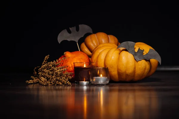 Para decorar a casa para halloween mentira amarelo e laranja abóboras, queimando velas aromáticas, encontra-se um ramo de grama seca e desenhos de morcegos — Fotografia de Stock