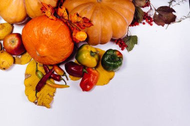 Beyaz bir arka plan üzerinde sarı yalan ve turuncu kabak, meyve ve sebze, sarı sonbahar yaprakları