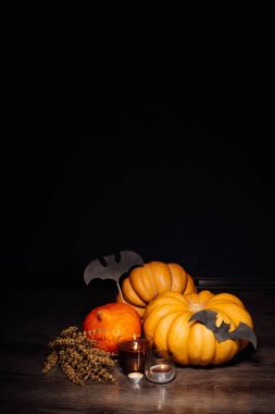 bir ahşap kattadır turuncu ve sarı kabak beklentisiyle yanan Cadılar Bayramı, kokulu mumlar, çizimler siyah yarasa