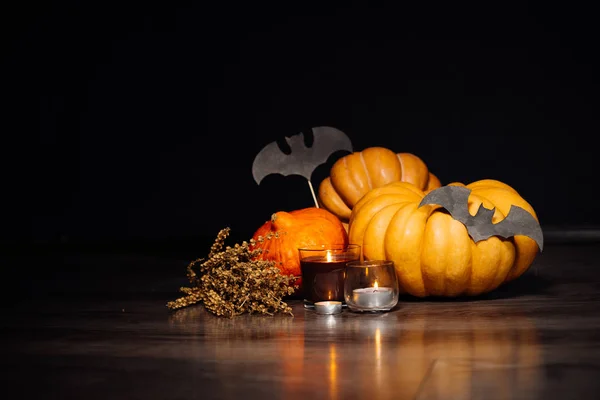 Para criar uma atmosfera de halloween mentira amarelo e laranja abóboras, queimando velas aromáticas, encontra-se um ramo de grama seca e desenhos de morcegos pretos — Fotografia de Stock