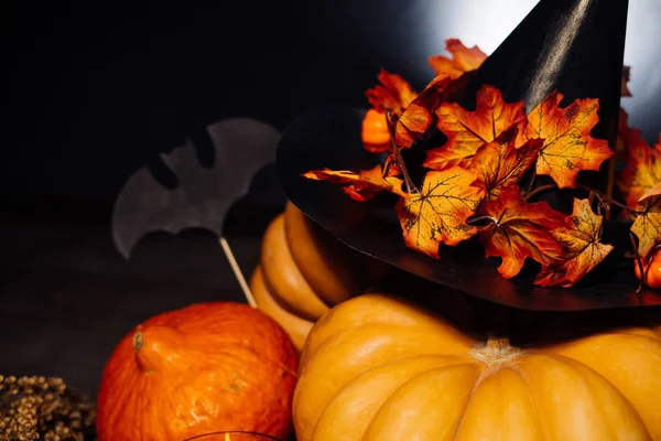 En halloween atmosfär, finns det gula och orange pumpor, en svart häxa hatt dekorerad med gula lönnlöv — Stockfoto