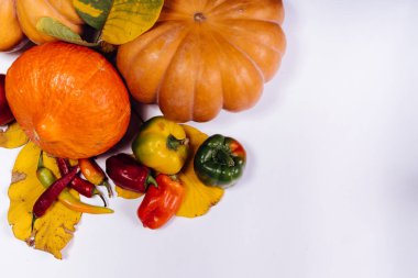 farklı sebze bir sürü yalan masaya