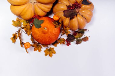 Beyaz bir arka plan üzerinde sarı kabak bir temada yalan Cadılar Bayramı x