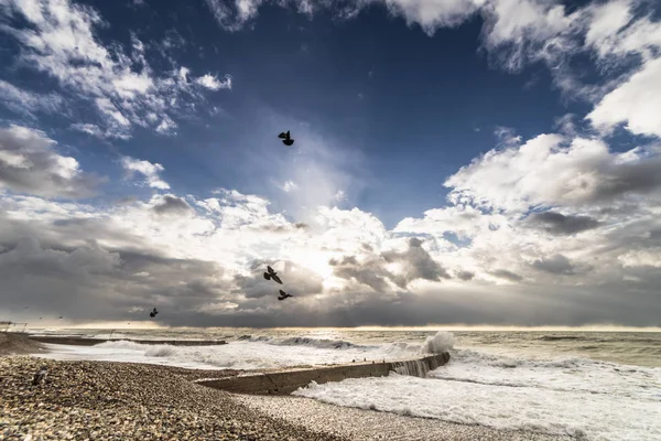 Cerca de una playa rocosa el océano está furioso, el cielo es nubes grises, las aves vuelan —  Fotos de Stock