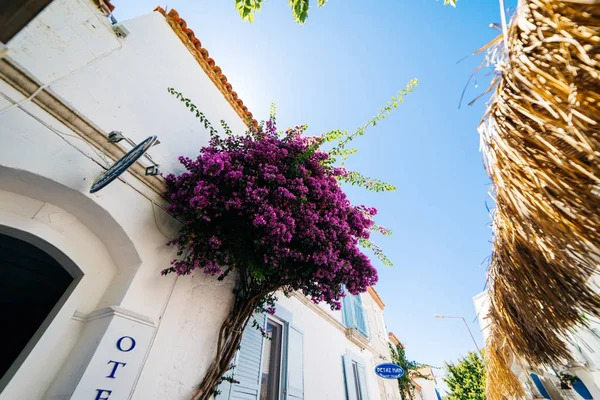 Ulice europe,Turkey.Alacati a Cesme, proti modré obloze — Stock fotografie