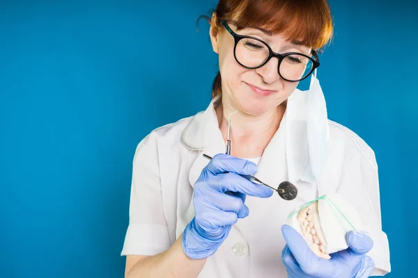 Gözlük takan yetişkin gülümseyen kadın doktor diş hekimi diş alçı elinde tutar. — Stok fotoğraf