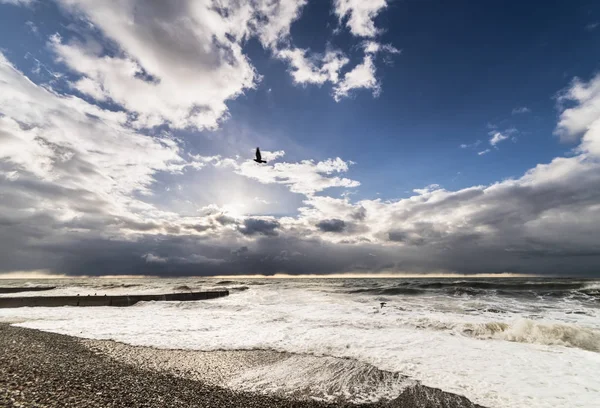 Playa de piedra abandonada al atardecer con aves raras —  Fotos de Stock