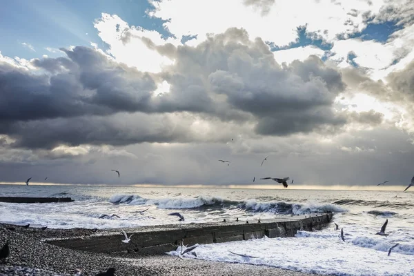 Una playa de piedra desierta al atardecer con muchas palomas en tierra —  Fotos de Stock