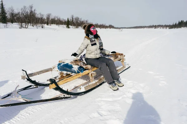 En flicka i en päls hatt och varma kläder reser norrut, skridskor på stora slädar — Stockfoto