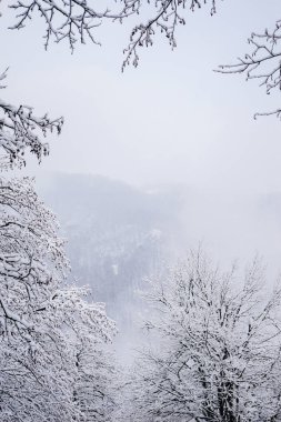 Kış soğuk hava, kar, beyaz sürüklenir çevresinde ağaçlarda