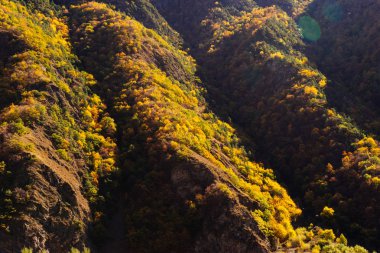 Doğa, dağlar ve tepeler, yoğun bir orman güneş ışınlarının ilham verici