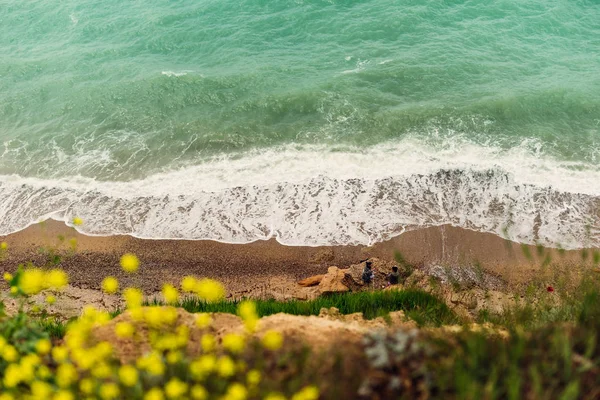 turquoise sea foams at the beach, in the foreground grow flowers, view from above