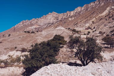 Mavi gökyüzü, ağaçlar çok yüksek rocky Dağları