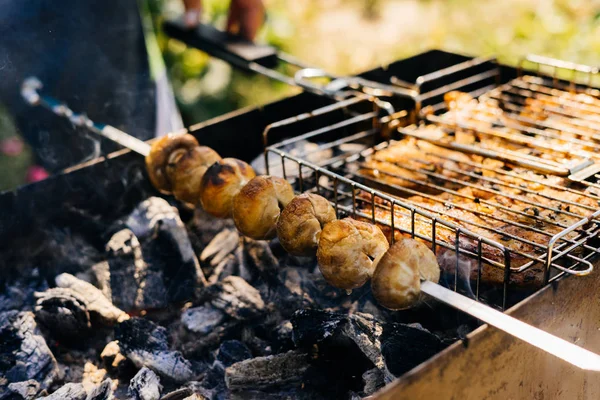 A piknik barbecue szarvas nyers hús és a gomba — Stock Fotó