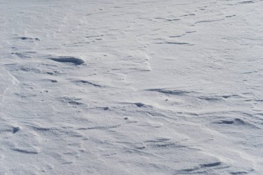 Kuzeyde beyaz kar sürüklenir, çok soğuk