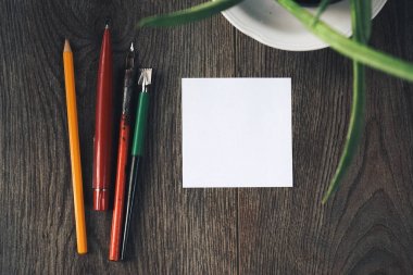ahşap bir arka plan üzerinde beyaz çıkartmalar, kalem, kalem, aloe bir pot yalan