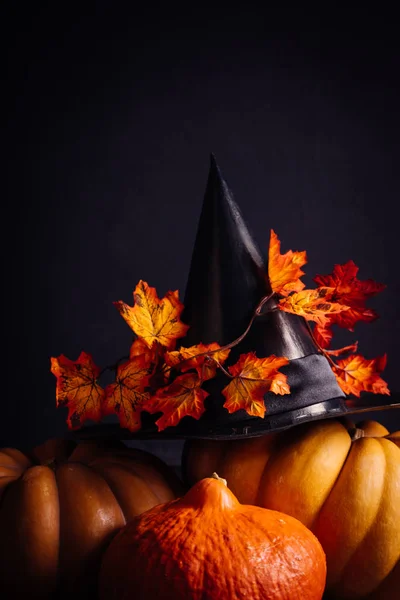 Op een zwarte achtergrond zijn oranje Halloween pompoenen, een grote zwarte heks hoed en esdoorn bladeren — Stockfoto
