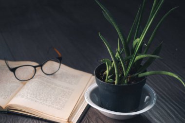 bir koyu ahşap yüzeye yatıyor açık bir kitap ve gözlük, aloe bir sürahi