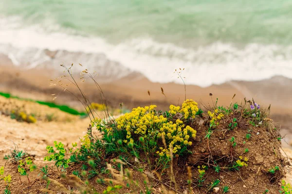 View from above on a turquoise sea, waves foam, in the foreground lie yellow flowers — Stock Photo, Image