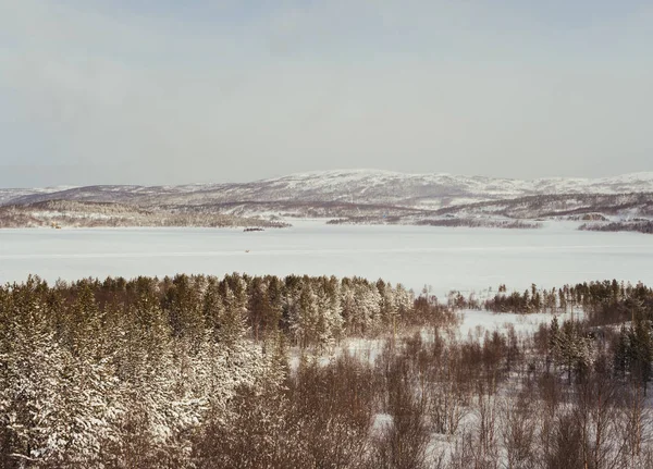 Зимняя природа, река и заснеженные горы и лес — стоковое фото