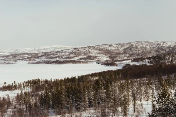 View of the winter nature, forest, fields and mountains covered with white snow, very cold — Stock Photo, Image