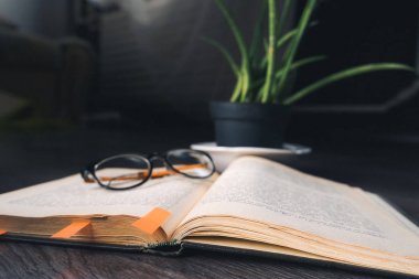 ahşap yüzeyde yer imleri, siyah çerçeveli gözlük ve bir saksıyı bir kitapla yatıyor