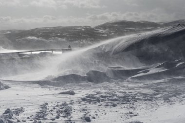 çok soğuk Kuzey azgın karlı blizzard