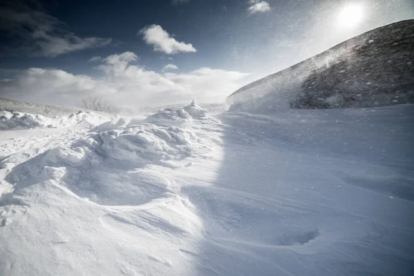 Im hohen Norden die kalte Winternatur, überall weißer Schnee und Schneeverwehungen — Stockfoto