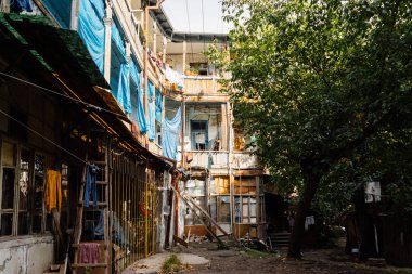 renkli eski evleri, yeşil ağaç, eski binalar