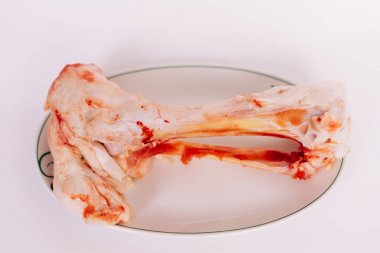 etli taze bir kemik bir tabak beyaz bir tabloda açıktır