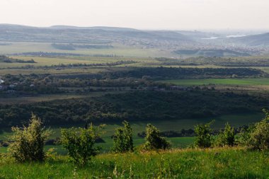 bir görünümü güzel yaz doğa sonsuz yeşil çayırlar ve ormanlar