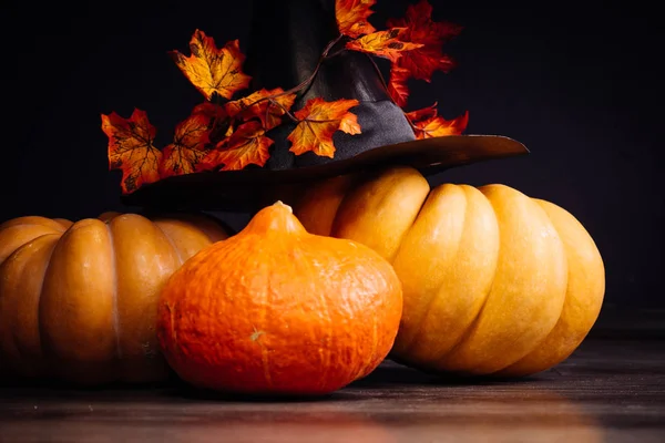 Op een donkere achtergrond liggen Halloween oranje pompoenen, een zwarte heks hoed en Herfstbladeren — Stockfoto