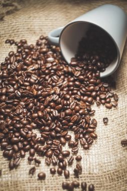 Bir kadar sert kokulu Brezilyalı kahve, arabica ve beyaz bir kupa dağınık taneleri tuval