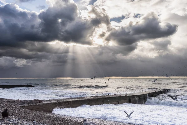 Majestic nature, calm sea and white waves, seagulls fly — Stock Photo, Image