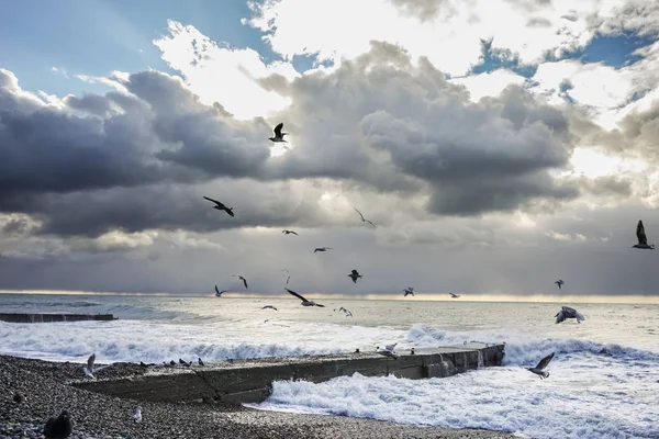 Naturaleza inspiradora, mar furioso y olas, gaviotas vuelan a través del cielo —  Fotos de Stock